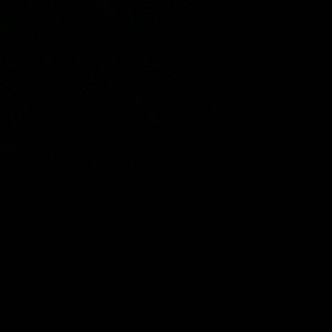 Meet your Posher, Noah